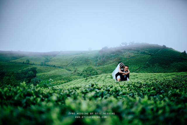 Pre-wedding | Anh – Trinh